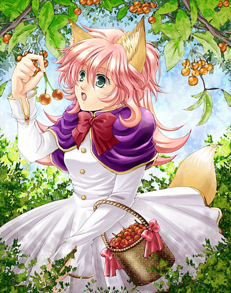 �T�N�����{